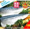 KLB 真空包急速冷凍挪威鯖魚10片裝(約2kg)/北大西洋鯖魚.日本台灣鯖魚